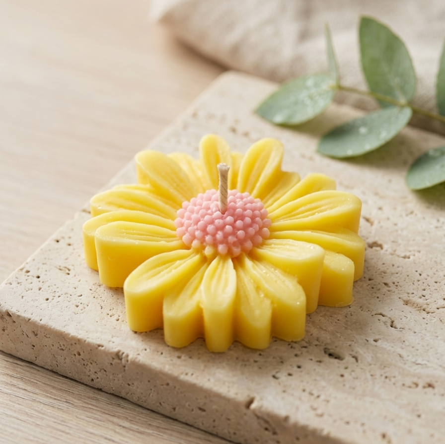 Floating Daisy Blossoms