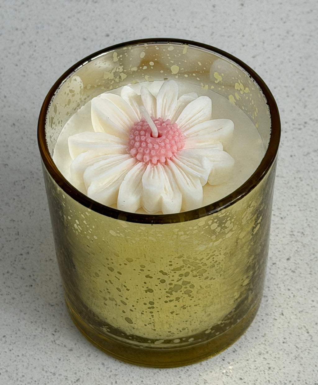 The Golden Glow - Daisy